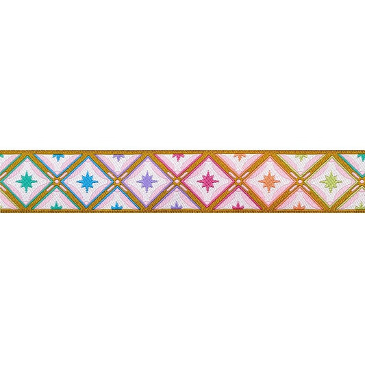 Tula Pink - ROAR! - Stargazer in Mint - 7/8" Width Ribbon by Renaissance Ribbons
