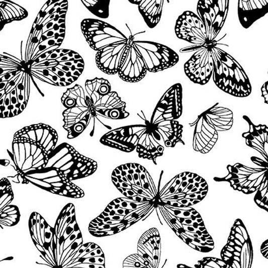 8231-09 All Or Nothing Black/White - BUTTERFLY for Studio E Fabric