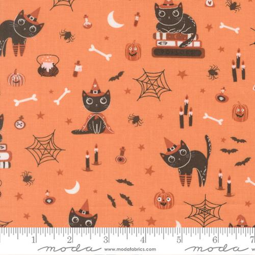 Purrs and Boos Pumpkin 39060-14