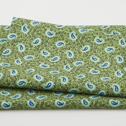 4234-66 Canterbury GREEN Paisely Tonal Fabric by Blank Quilting Sold by the Half Yard