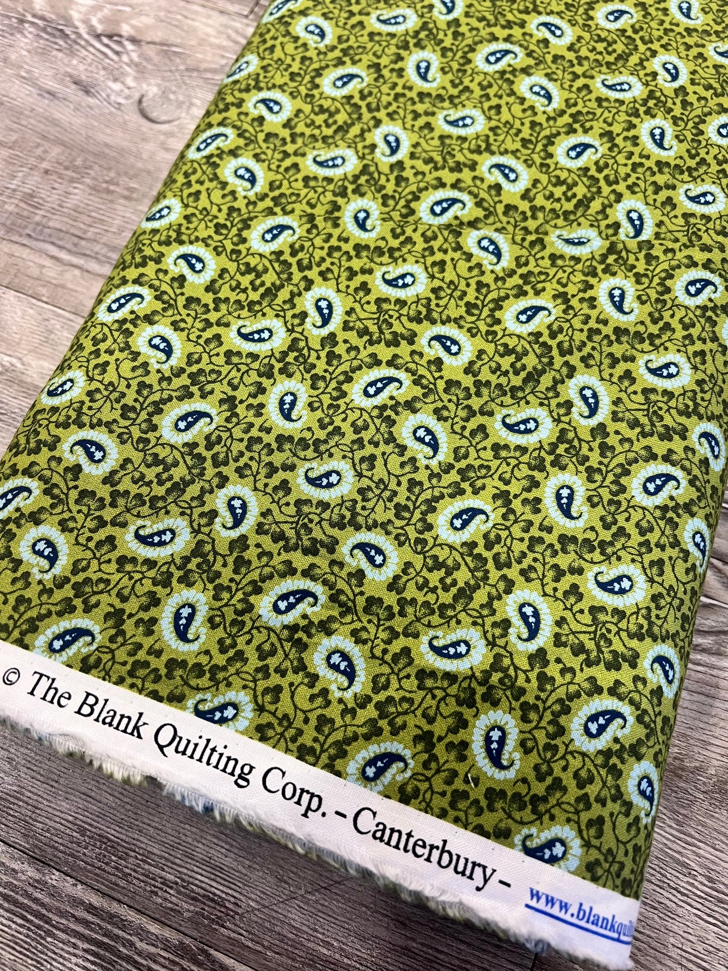 4234-66 Canterbury GREEN Paisely Tonal Fabric by Blank Quilting Sold by the Half Yard