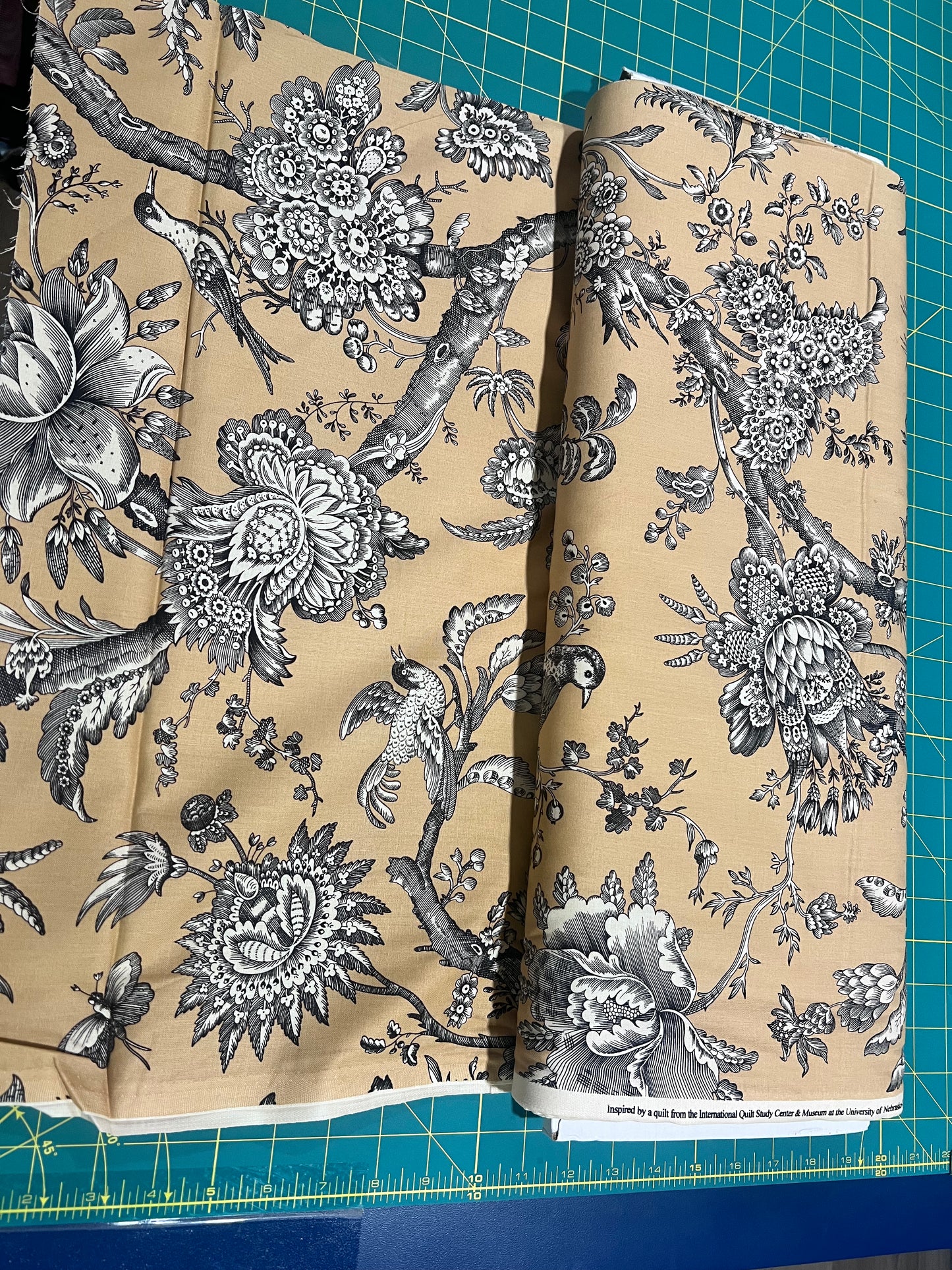 Andover special Kathy Hall and Jo Morton Inspired by a quilt from the international quilt study center and Museum