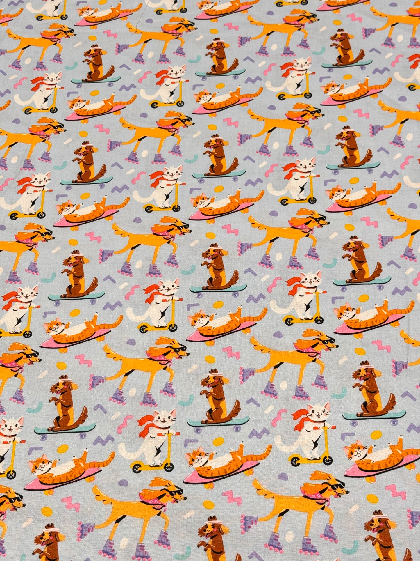 Cat And Dog skating and  scooter