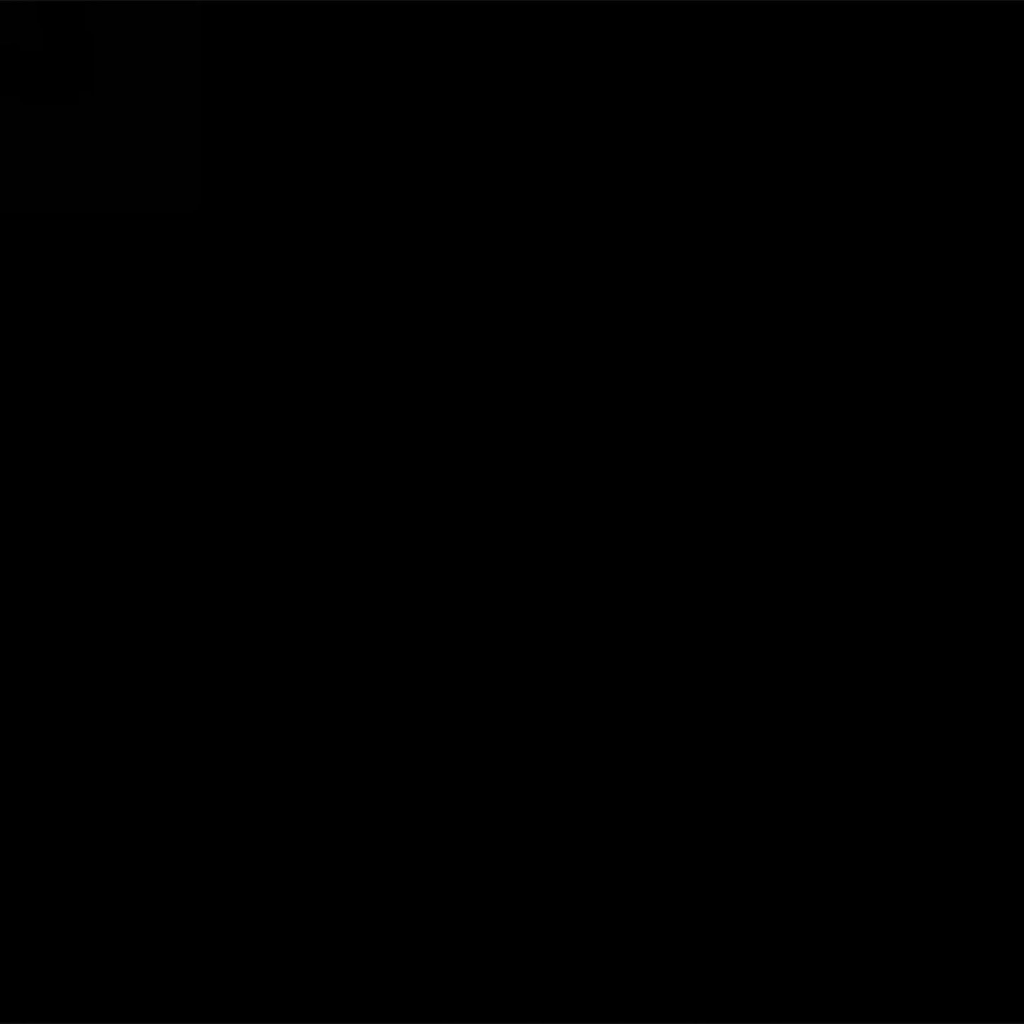 CUDDLE ME BLACK 2 PLY COTTON FLANNEL BASICS Studio E Fabric