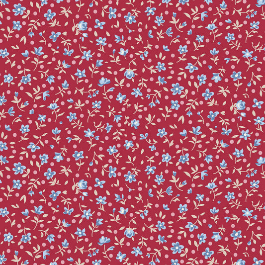 TIL110183 product photo
