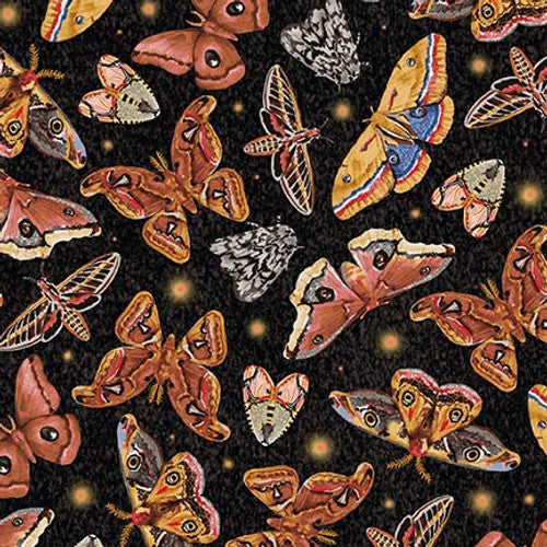 1816-93 Multi Moths Butterflies Forest Floor Barb Tourtillotte for Henry Glass