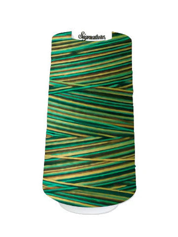 F251 Atlantis - Signature 40wt Variegated Thread