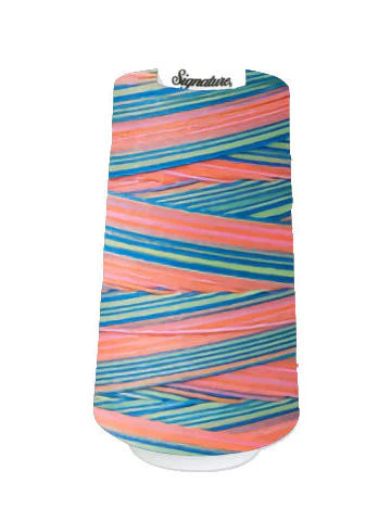 F253 Summery Fun - Signature 40wt Variegated Thread