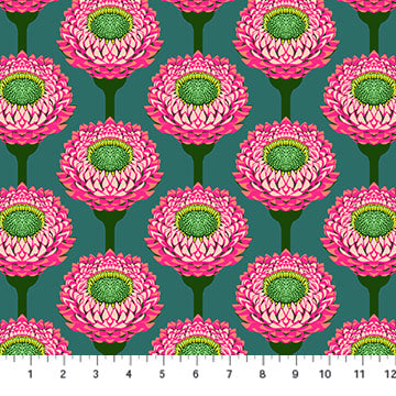 AMT123-28L Iconic STRAWFLOWER IN BURSTING by Anna Maria