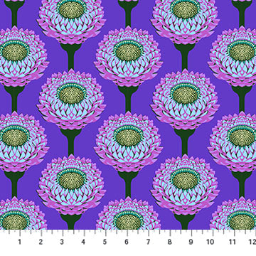 AMT123-63C Iconic PERIWINKLE STRAWFLOWER by Anna Maria