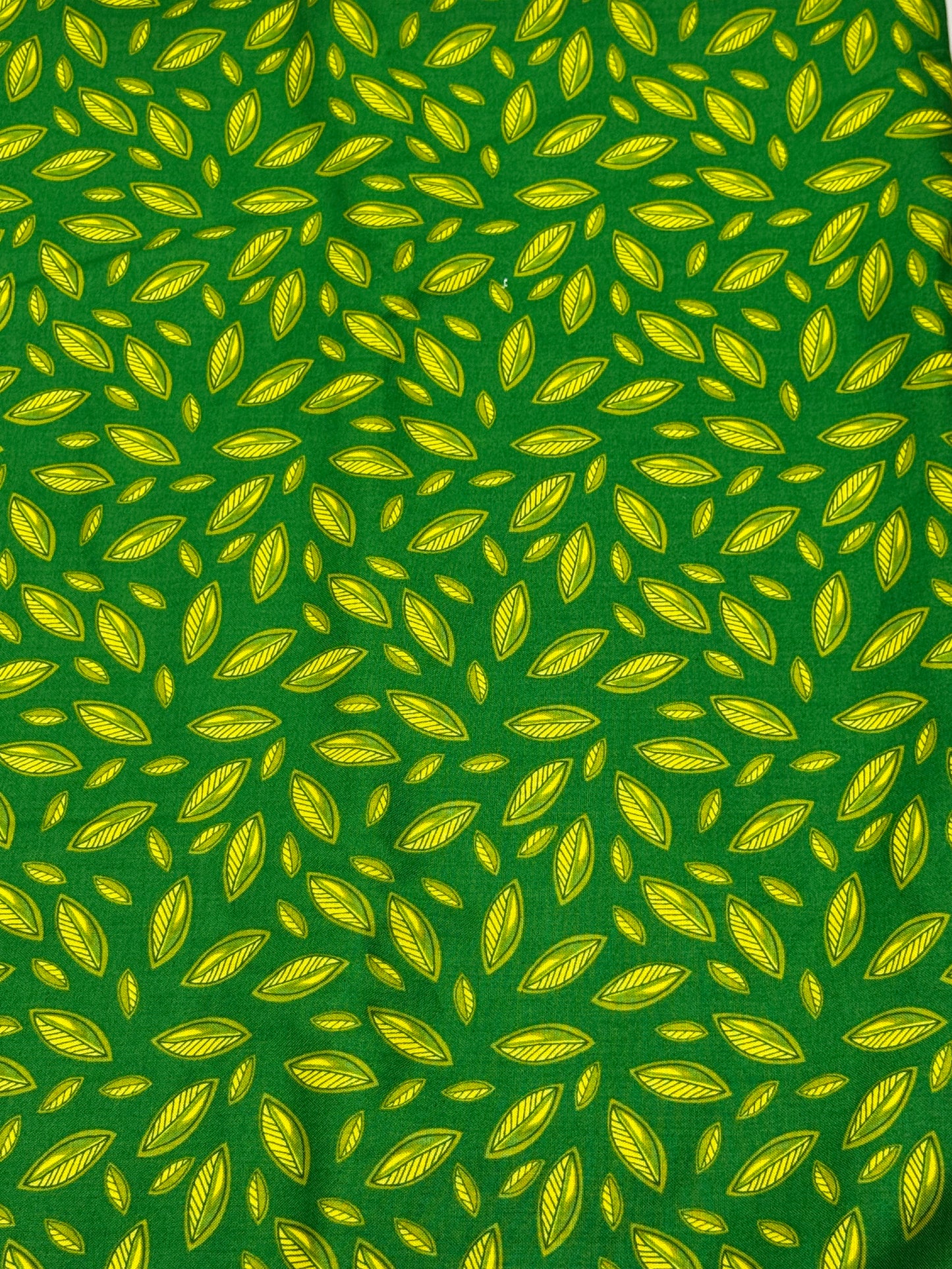 Green yellow tree leaves