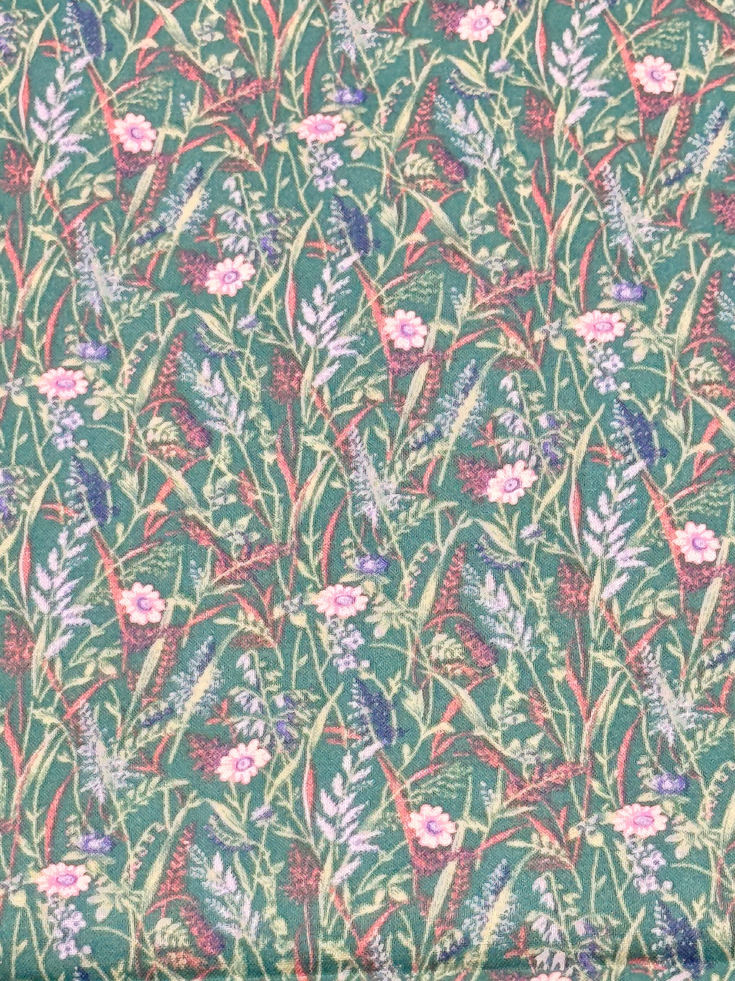 Flowers in a field