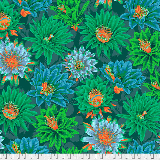 Cactus Flower GREEN By Philip Jacobs for Kaffe Fassett Collective FABRIC Sold By the Half Yard