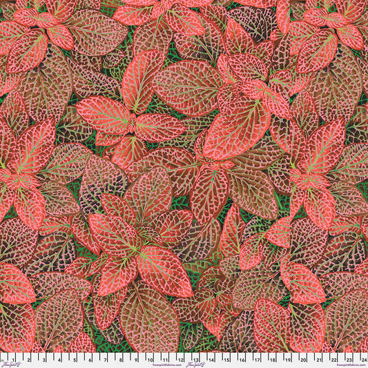 Fittonia RED Philip Jacobs for Kaffe Fassett Collective
