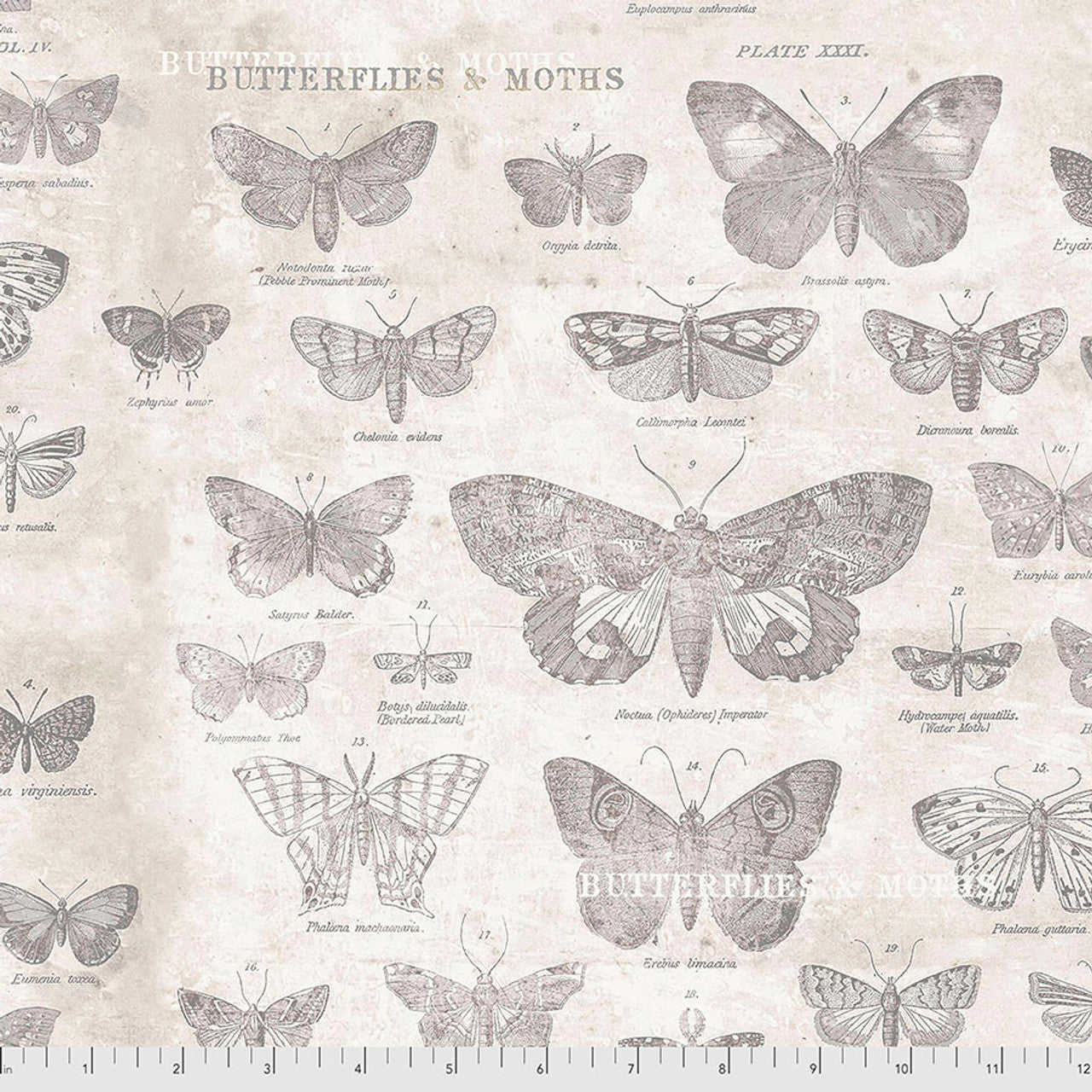 Butterflies - Parchment || Monochrome Tim Holtz Eclectic Elements