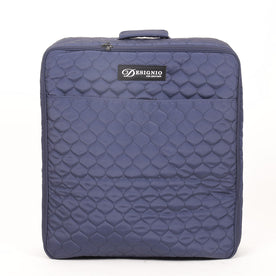SASEBCX1 Two Piece Celeste Luggage Set