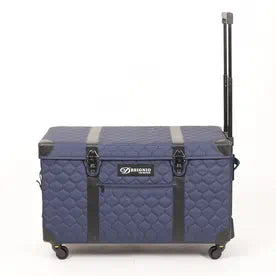 SASEBCX1 Two Piece Celeste Luggage Set