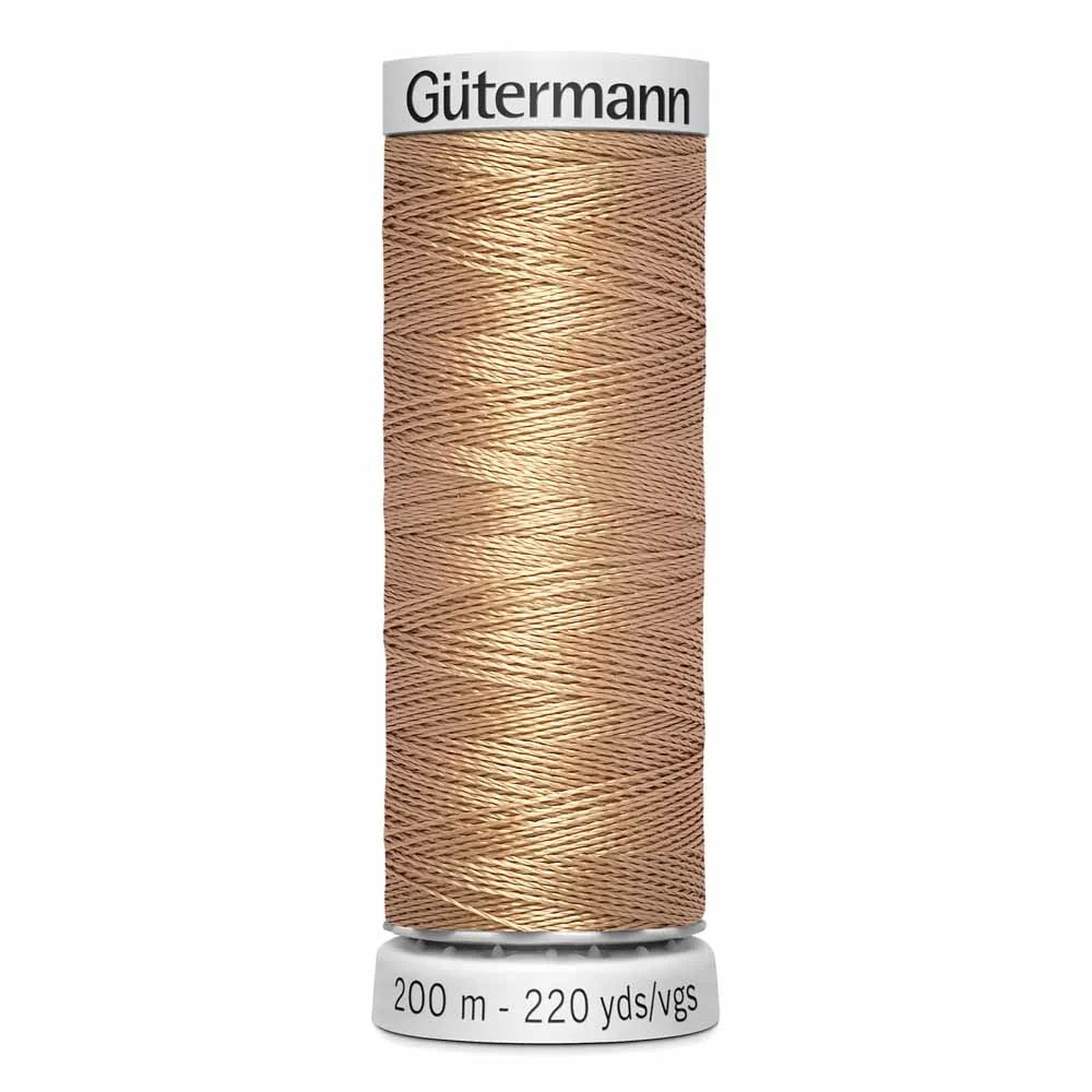 Gütermann Dekor Rayon thread 2610