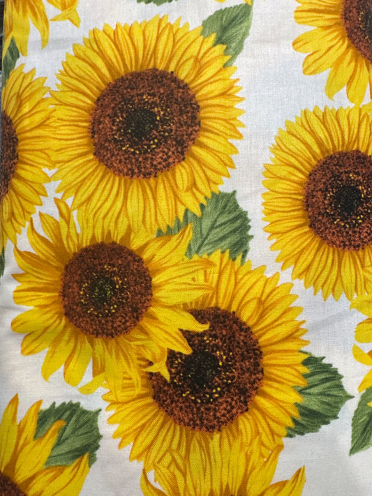 BROTHER AND SISTER SUNFLOWER P-26